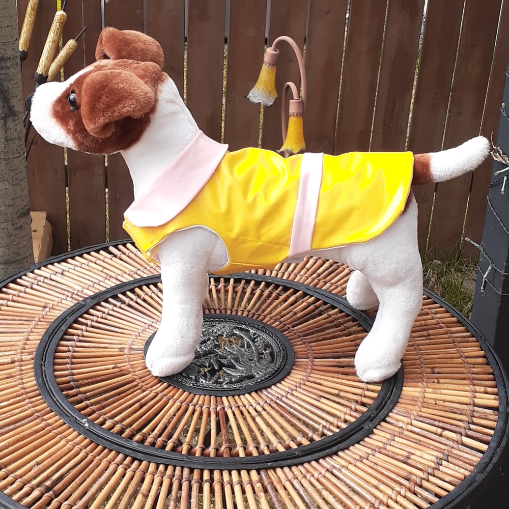 Dog apparel
